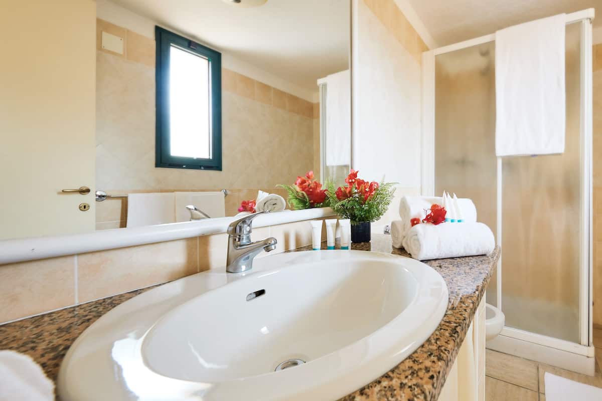 shower, rainfall showerhead, free toiletries, hair dryer