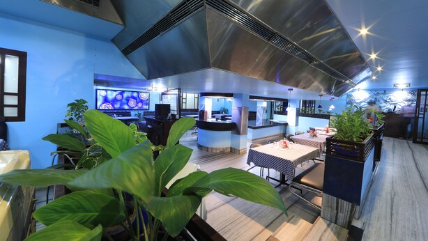 A modern restaurant with a high ceiling, large windows, and indoor plants. - Bharat Hotel (Kanayannur)