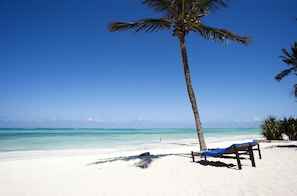 A beach with a palm tree, a wooden bench, and a clear blue sky.