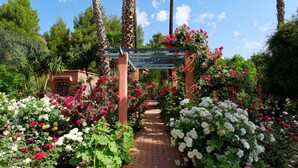Un sendero en el jardín con un pérgola, rodeado de follaje exuberante y plantas en flor.