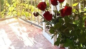 Un balcón con vistas a árboles, una barandilla y un jarrón con rosas rojas.