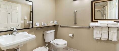 A bathroom with a sink, toilet, and handrail.