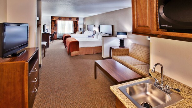A hotel room with a TV, a bed, a desk, a sofa, and a kitchen area with a sink. - Holiday Inn Express Hotel & Suites Dubuque by IHG (Dubuque)