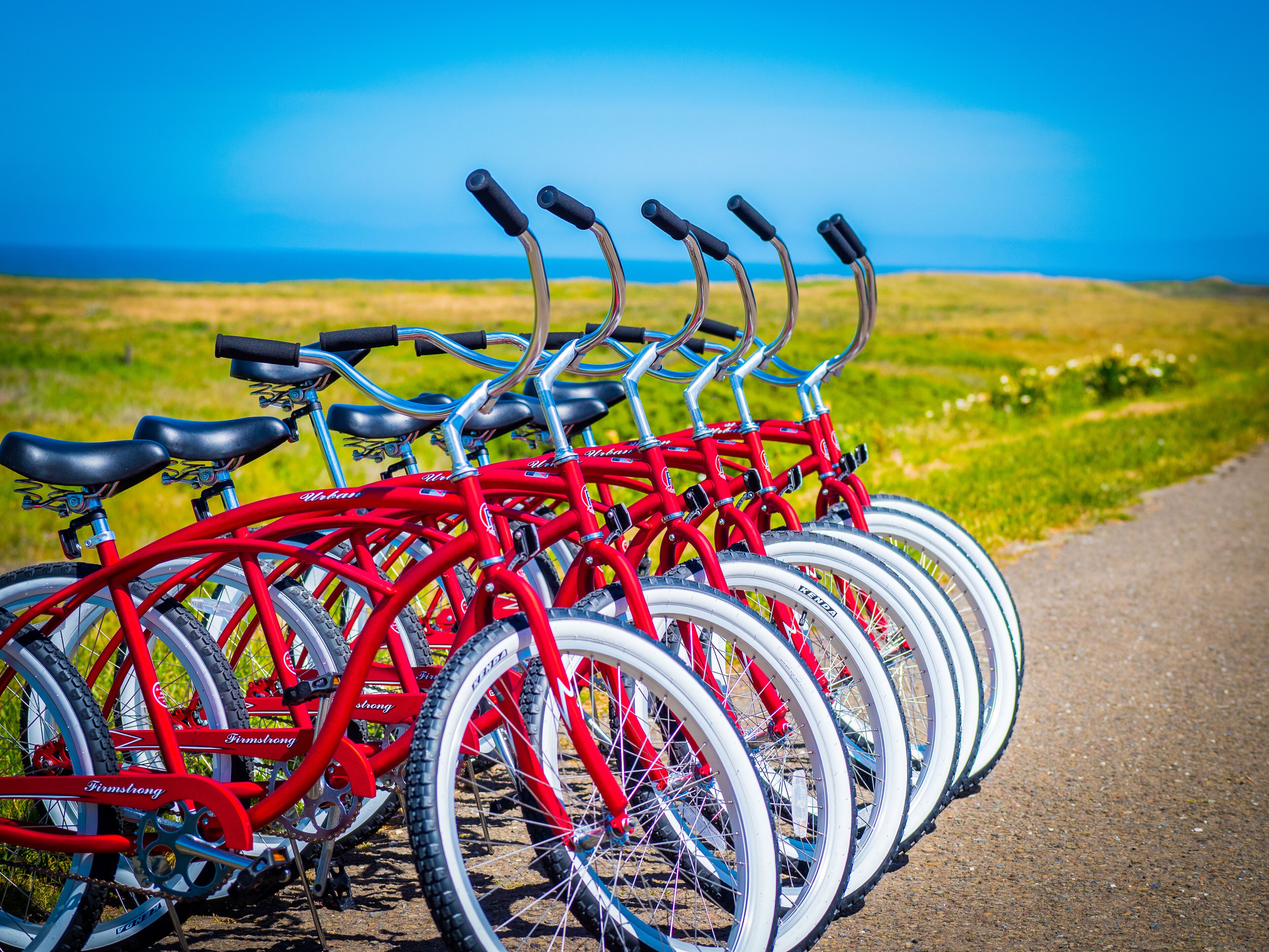 A row of red bicycles parked on a path with a grassy field and a clear blue sky in the background.