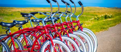 A row of red bicycles parked on a path with a grassy field and a clear blue sky in the background.