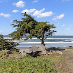 Sulla spiaggia