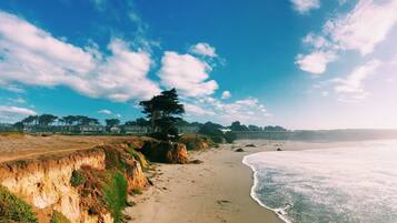 A coastal landscape with a sandy beach, cliffs, and a forested area with buildings in the background.