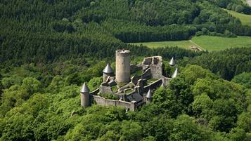 An aerial view of a medieval castle surrounded by dense forest.
