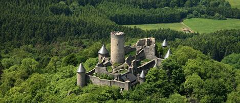 An aerial view of a medieval castle surrounded by dense forest.