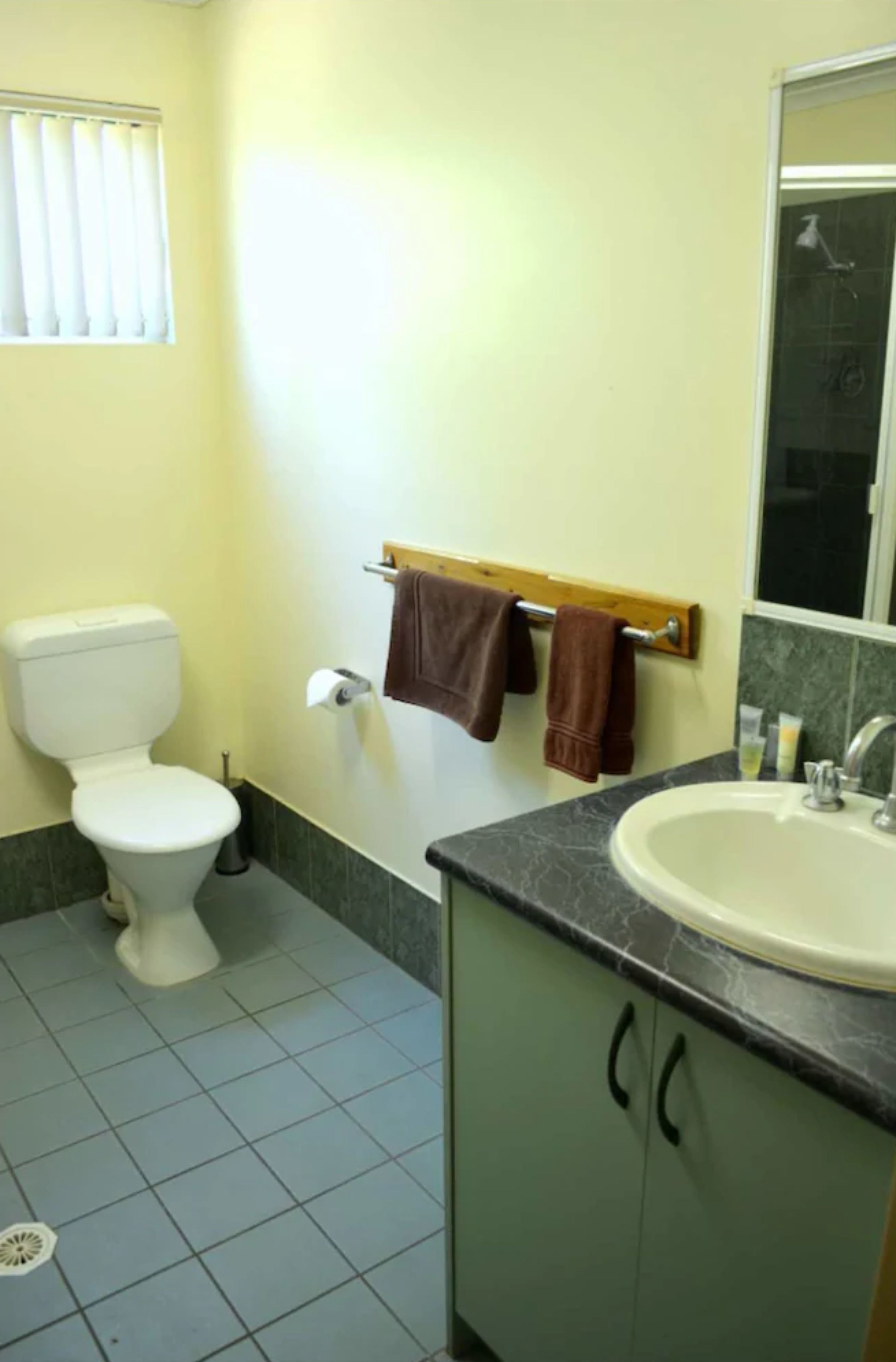 hair dryer, towels, shampoo