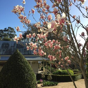 Barbecue/picknickplaats