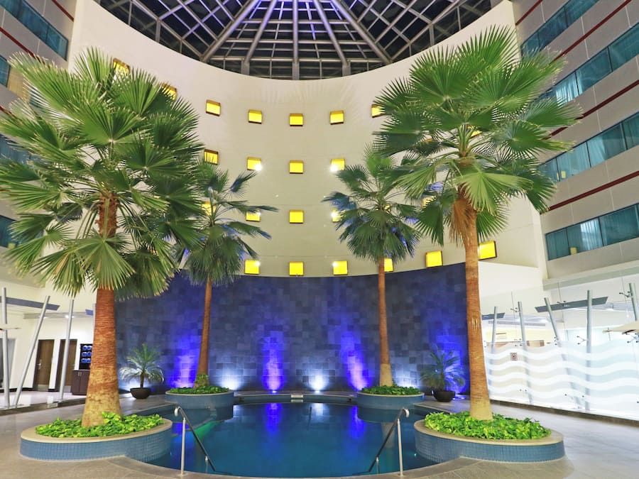 Piscina interior con palmeras y una pared iluminada en azul.