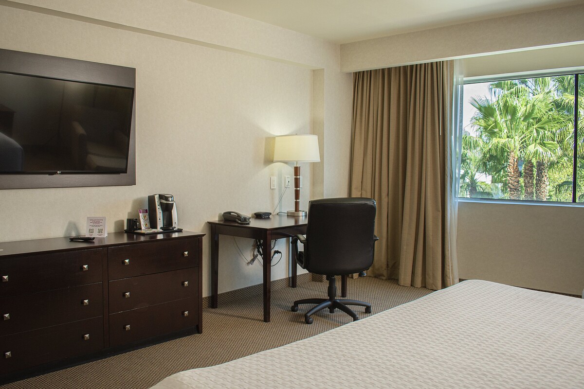 A hotel room with a bed, a desk with a lamp, a TV, and a window with curtains.