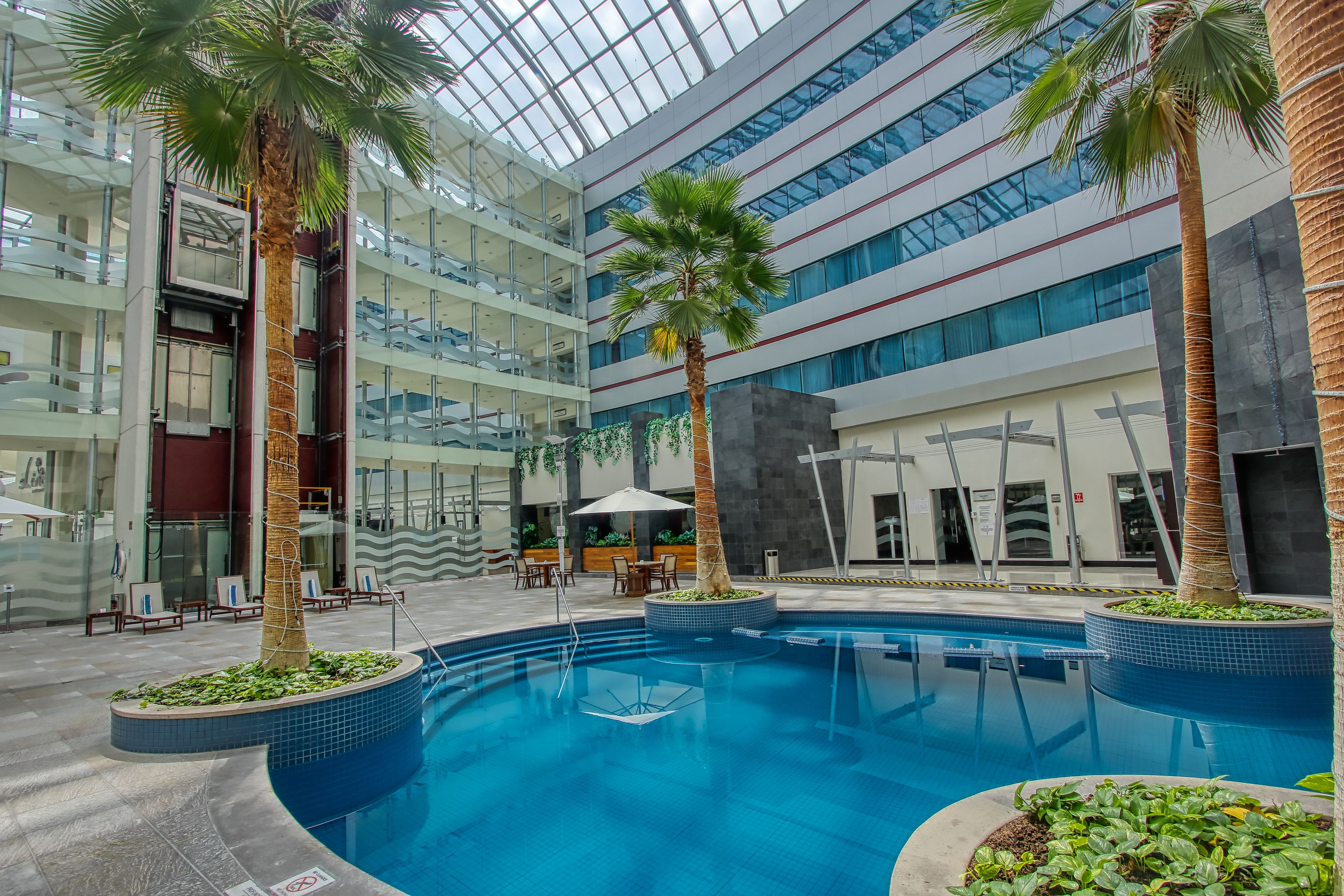 A modern indoor swimming pool with a glass ceiling, surrounded by palm trees and lounge chairs.
