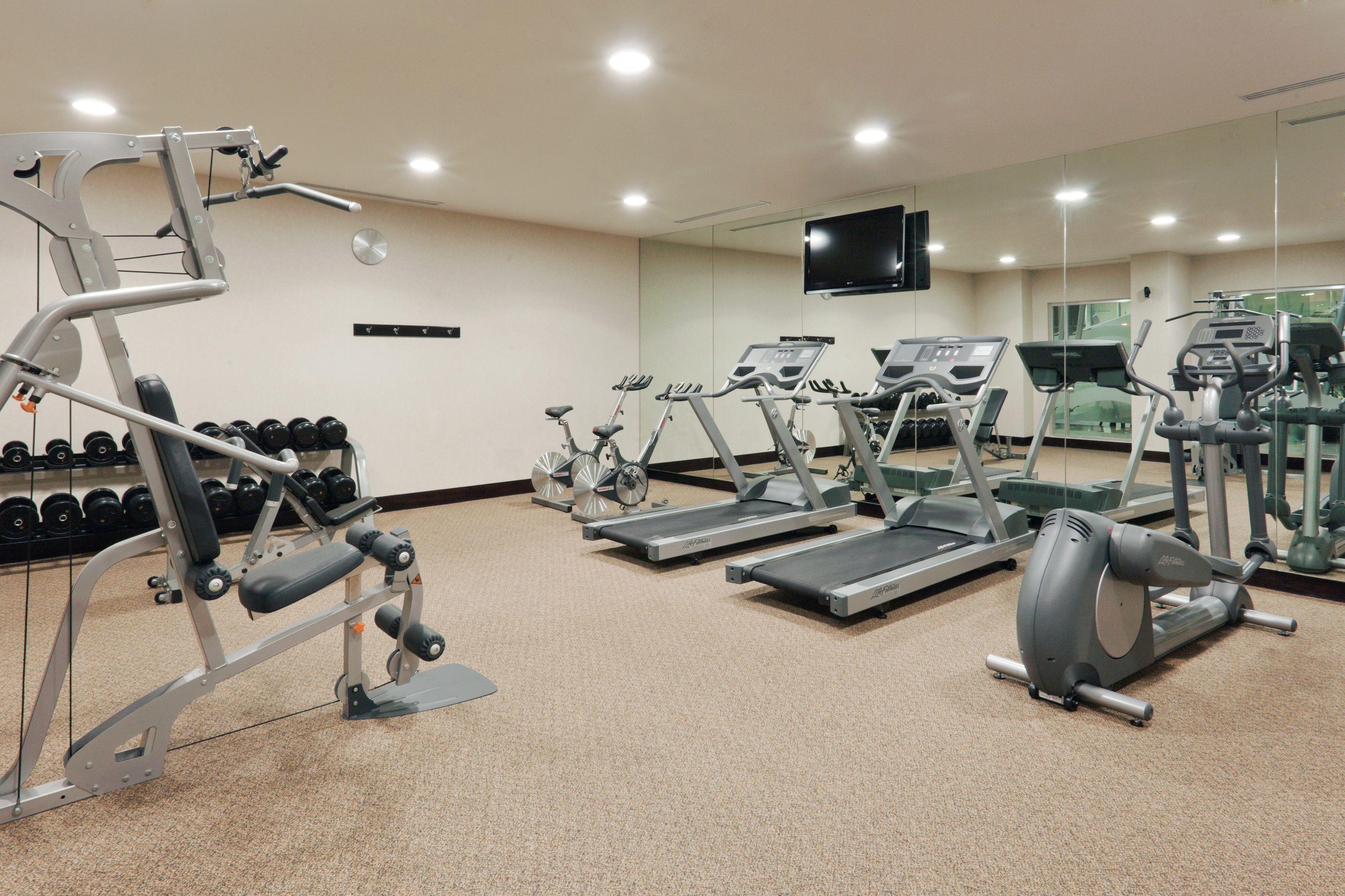 A gym with treadmills, elliptical machines, and weight machines.