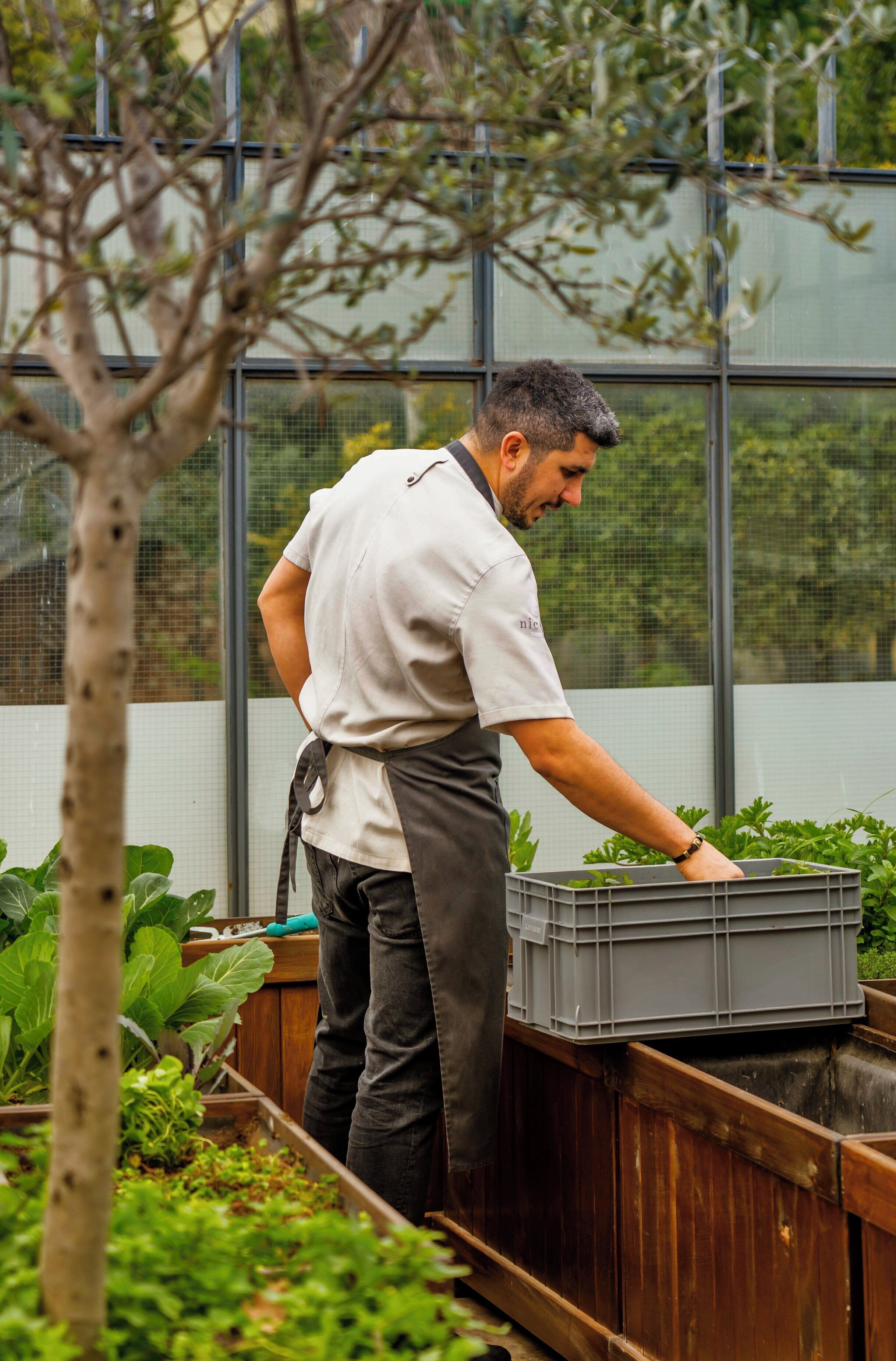 Foto - Tomtom Suites