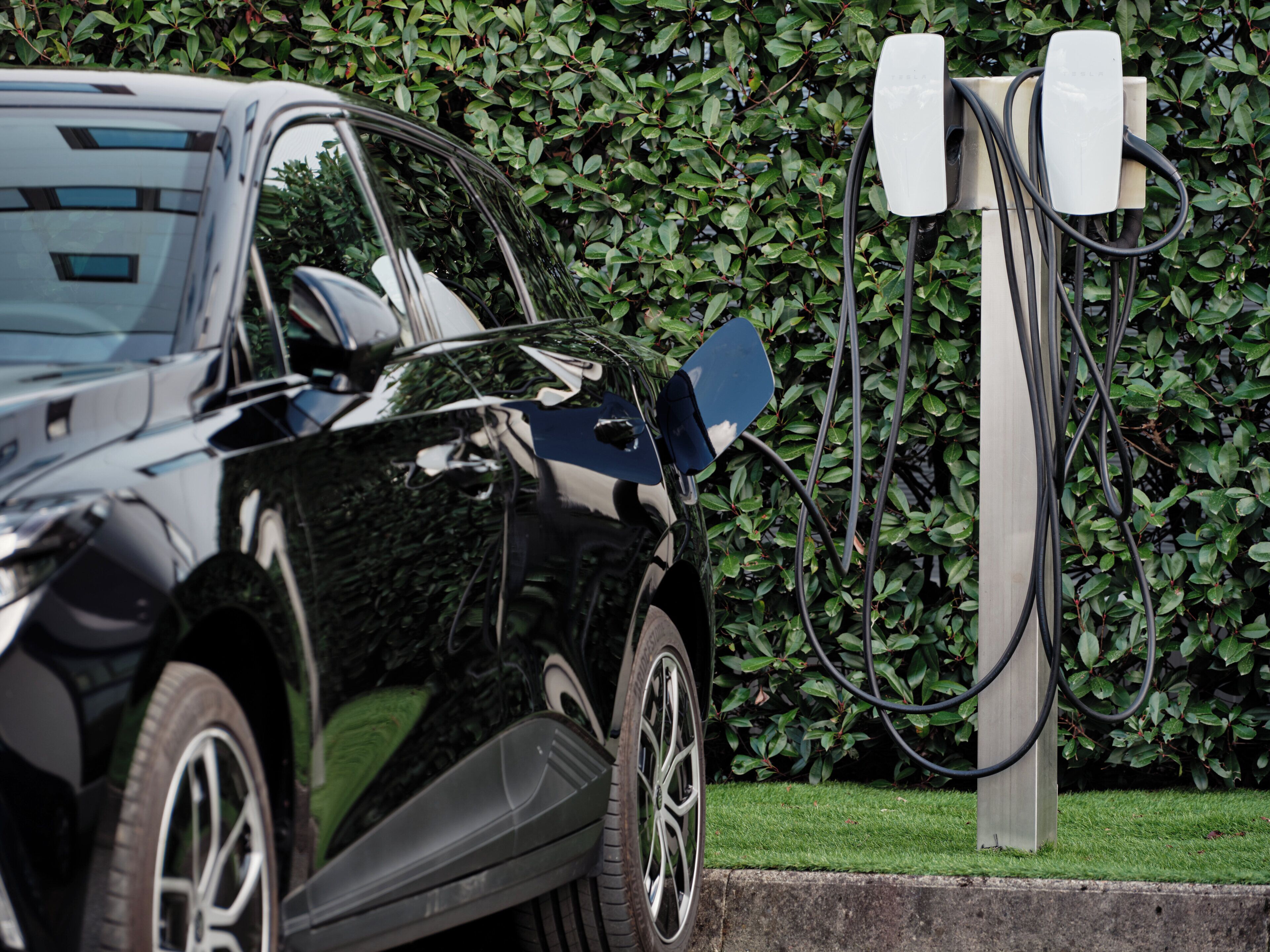 A black car parked next to a charging station with a hedge in the background.