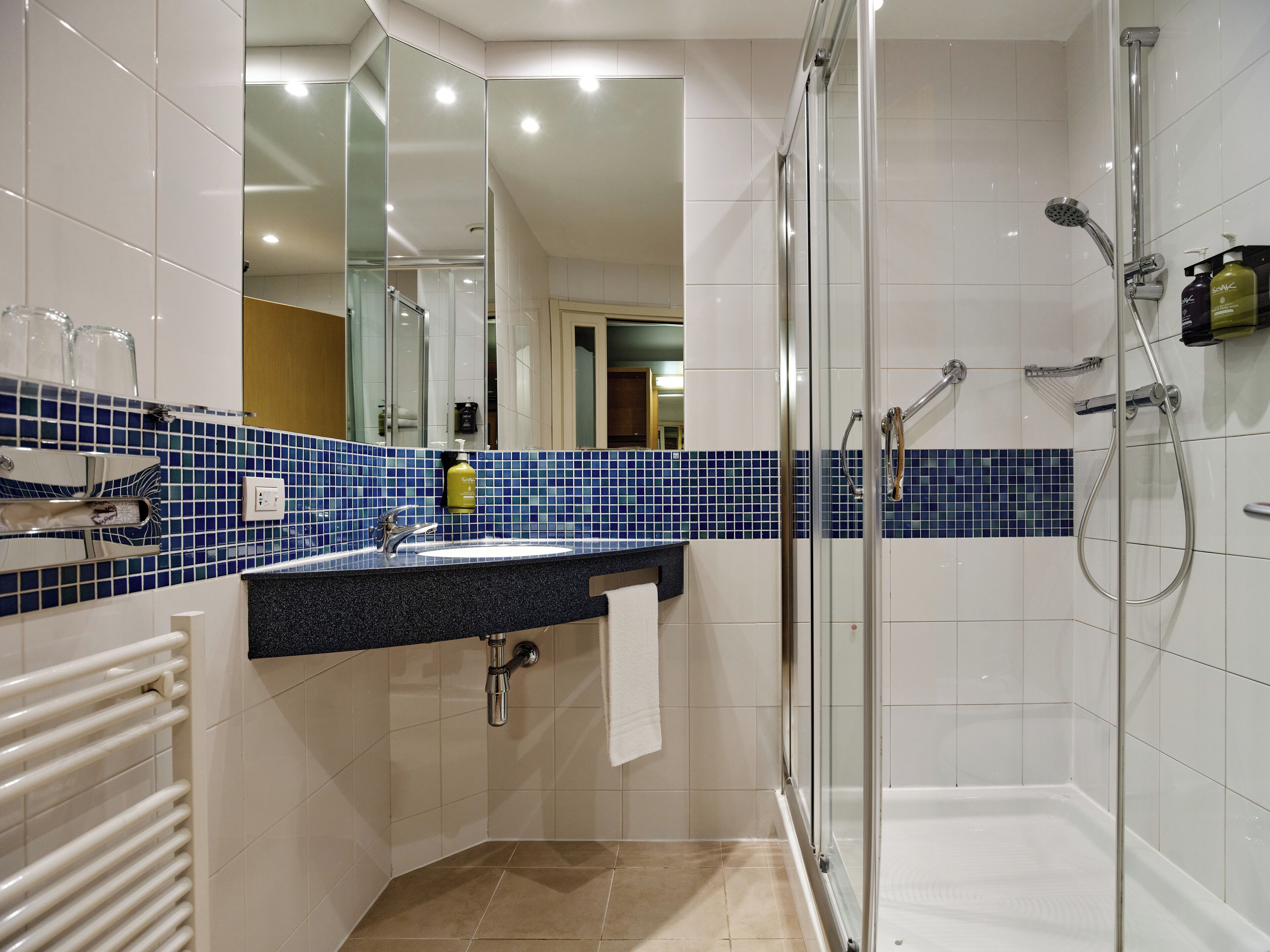 shower, hair dryer, bidet, towels