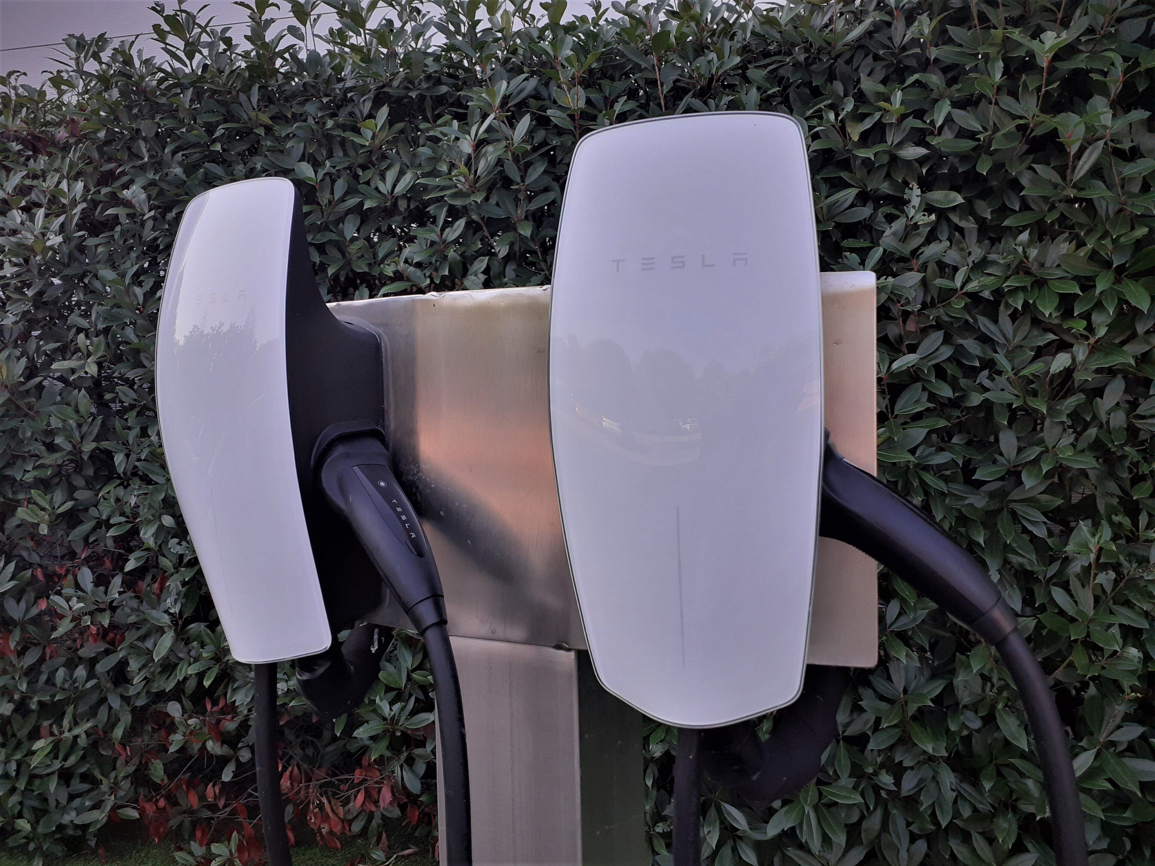 A Tesla electric vehicle charging station with a hedge in the background.
