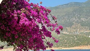 2 piscinas al aire libre, sombrillas, sillones reclinables de piscina