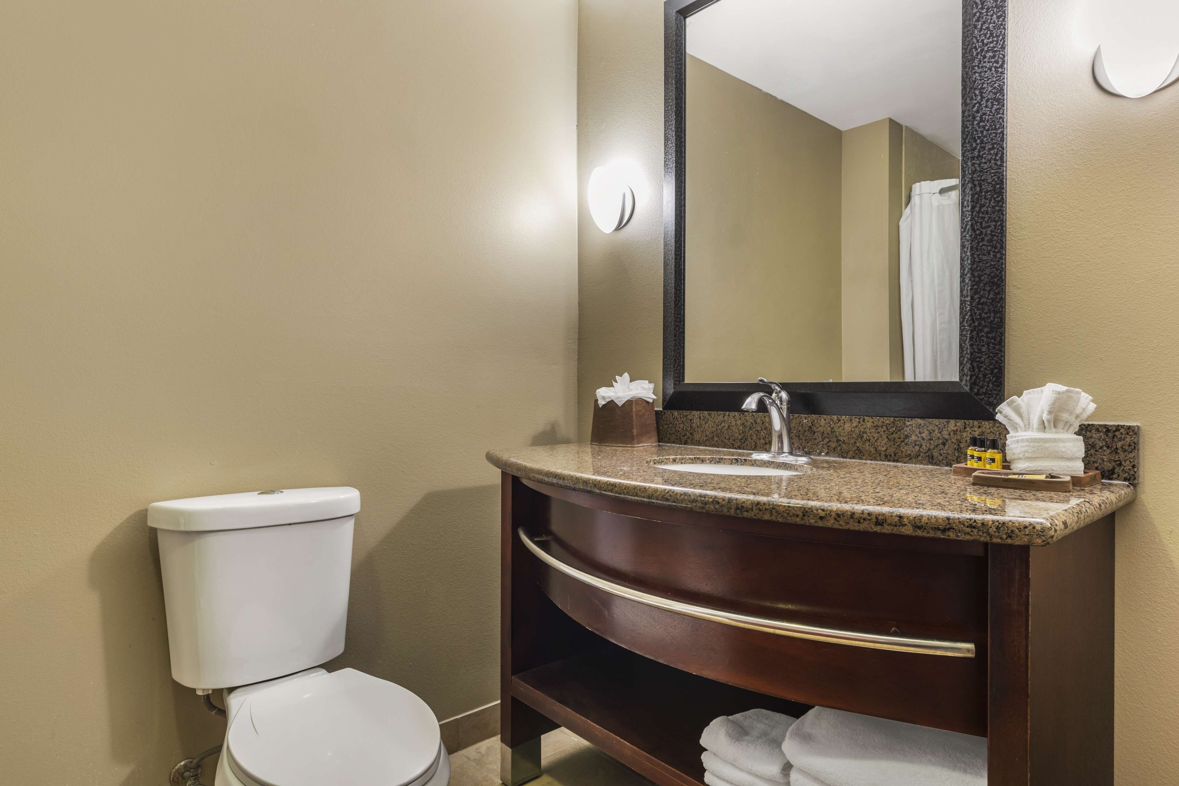 suite, 1 king bed, non smoking (with sofabed) | bathroom | combined shower/bathtub, free toiletries, hair dryer, towels