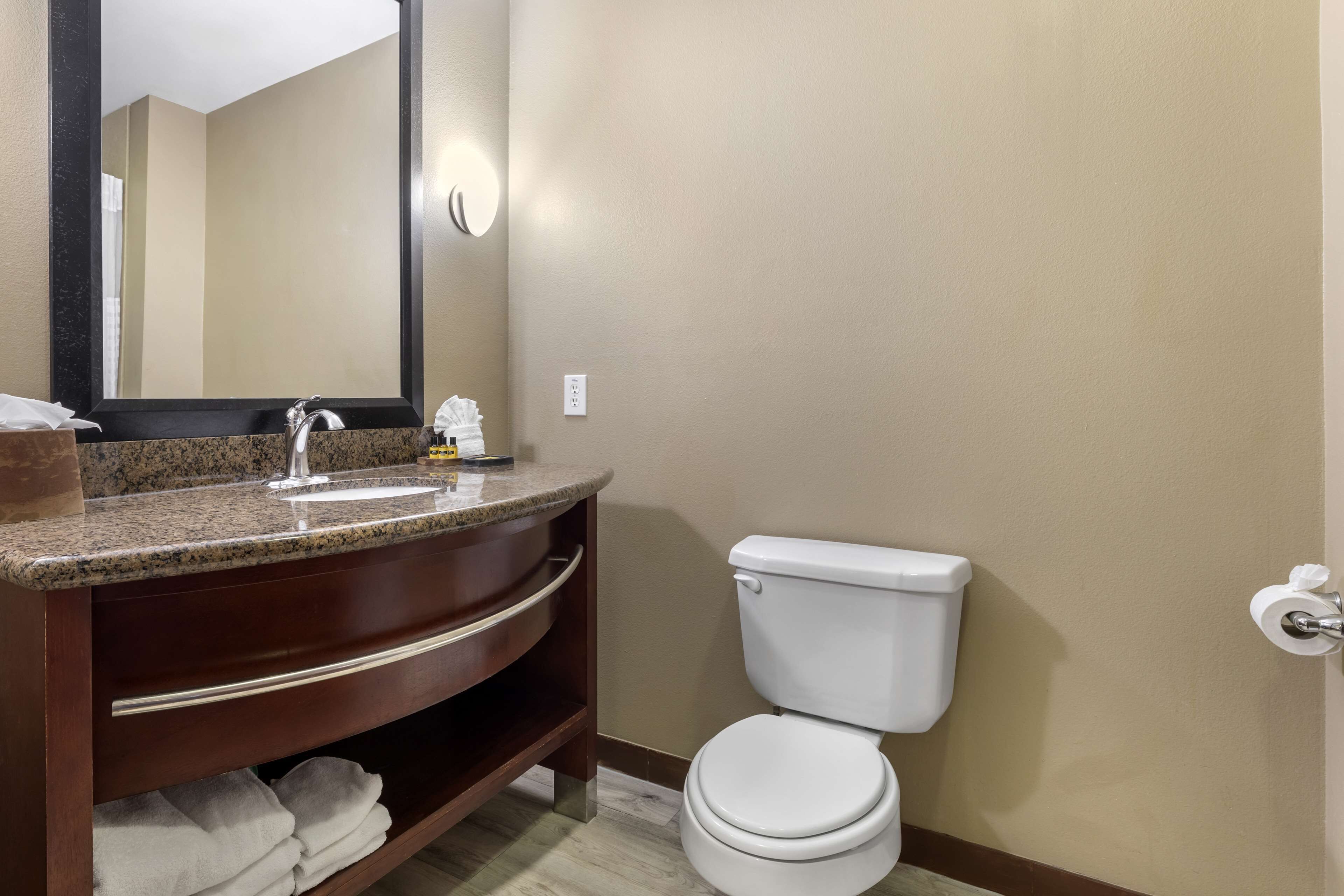 combined shower/bathtub, free toiletries, hair dryer, towels