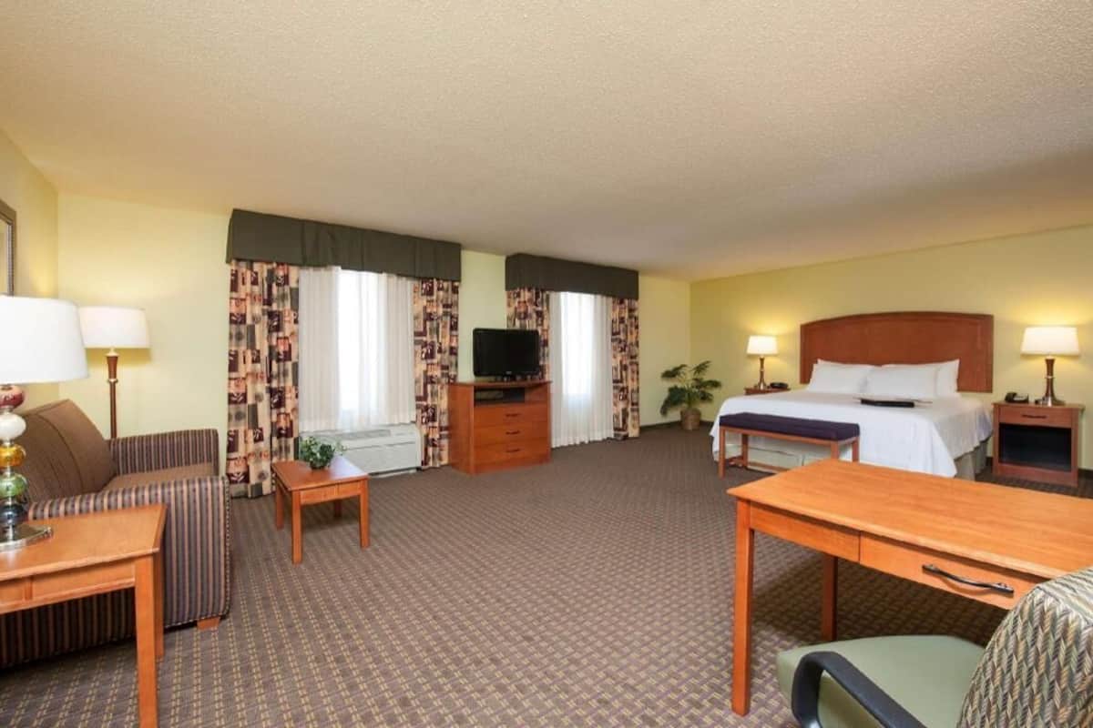 A hotel room with a bed, a sofa, a desk, a television, and a plant.