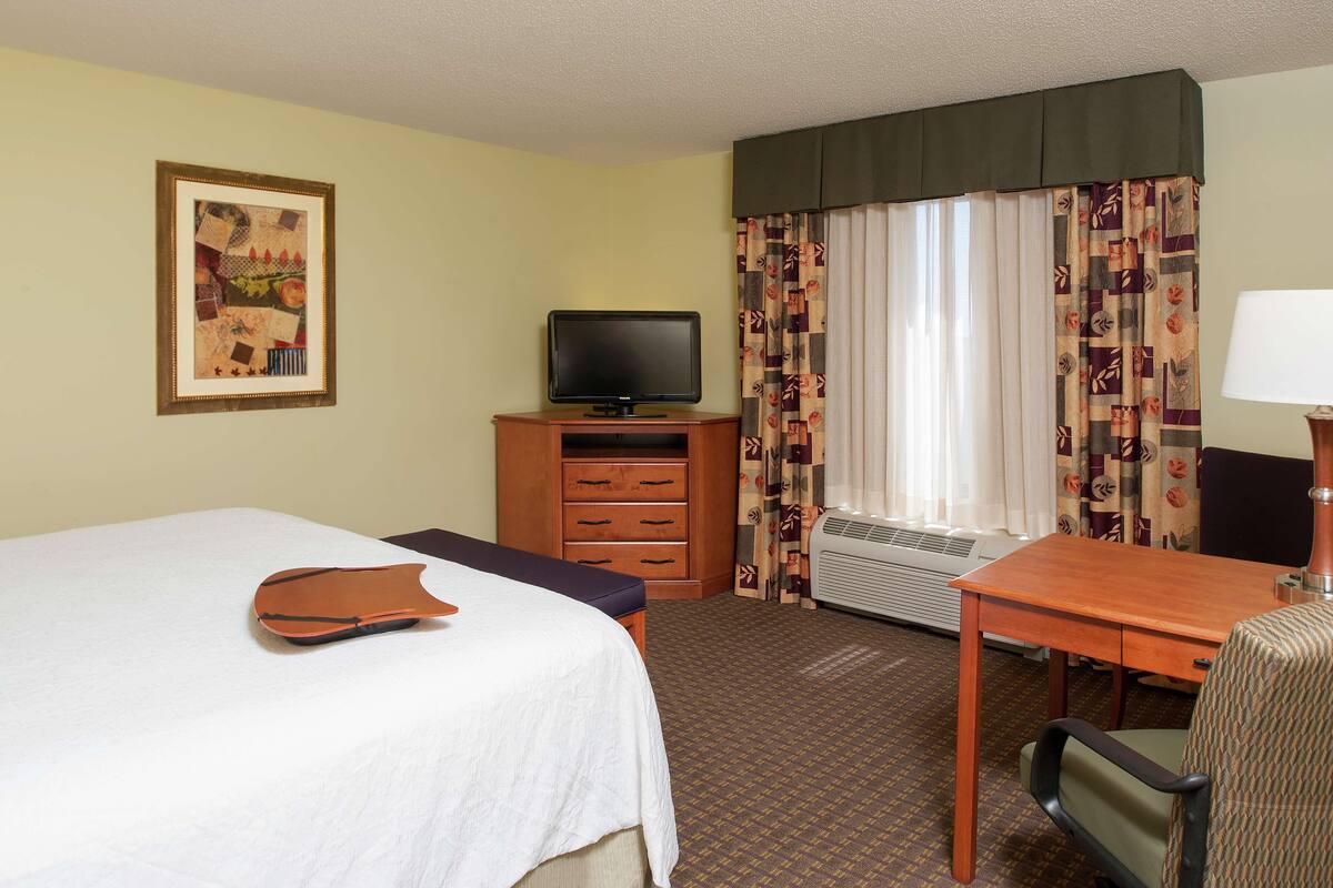 A hotel room with a bed, a desk, a television, a chair, a lamp, a picture on the wall, and a window with curtains.
