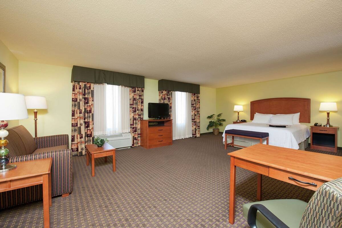 A hotel room with a bed, a desk, a chair, a television, a lamp, a plant, and a window with curtains.