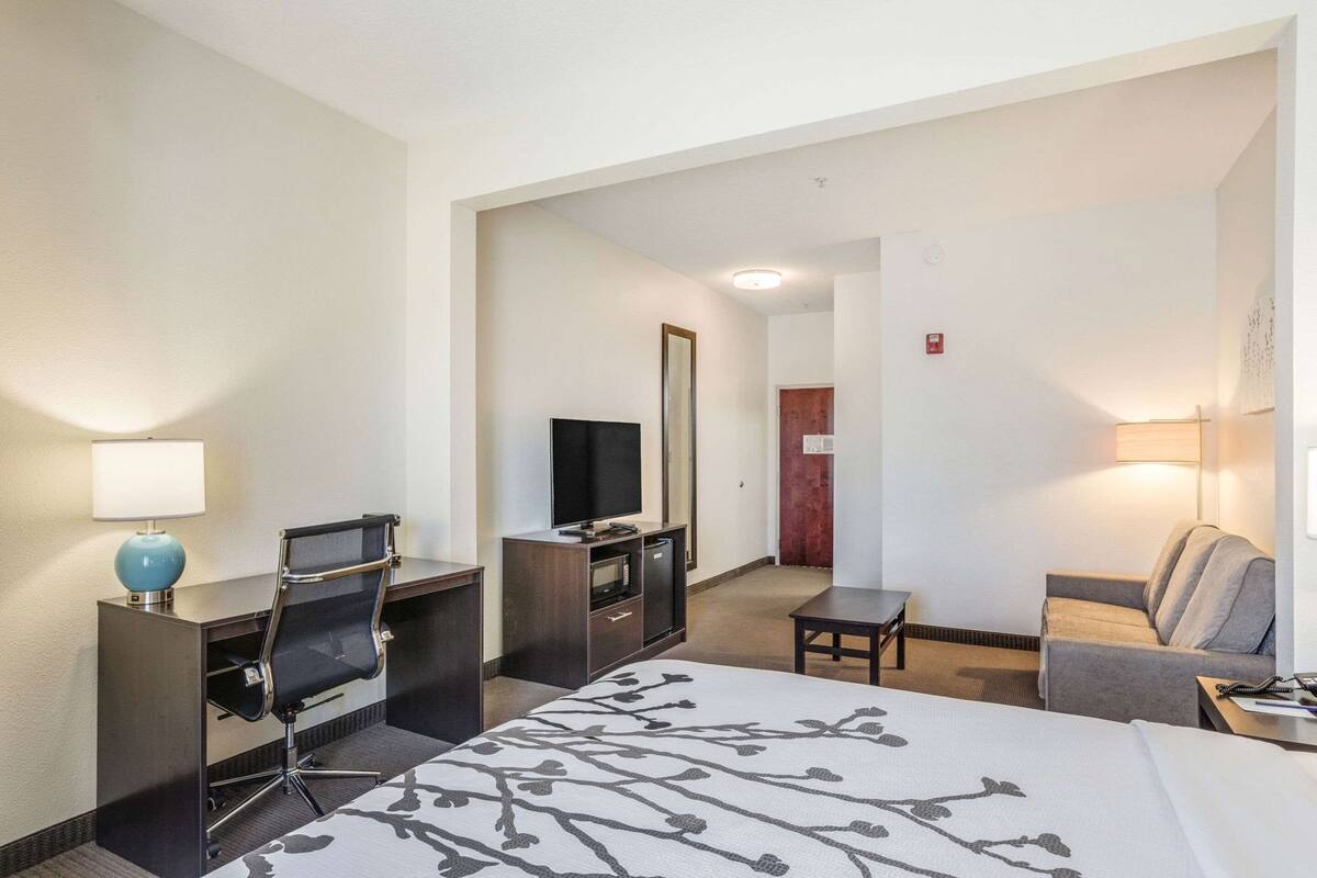 A hotel room with a bed, desk, chair, television, and a sofa.
