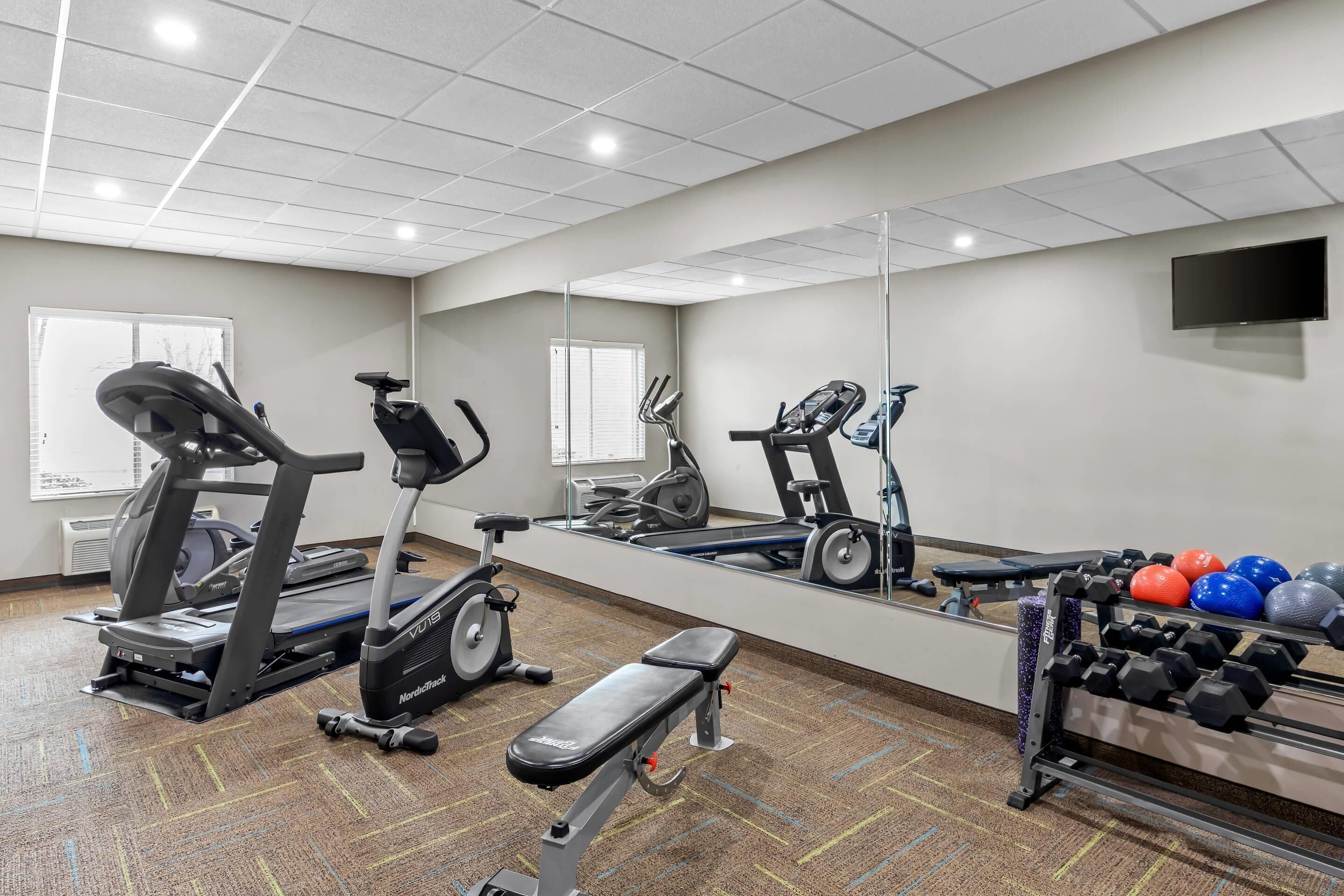 A gym with treadmills, an elliptical, a bench, and a rack of dumbbells.