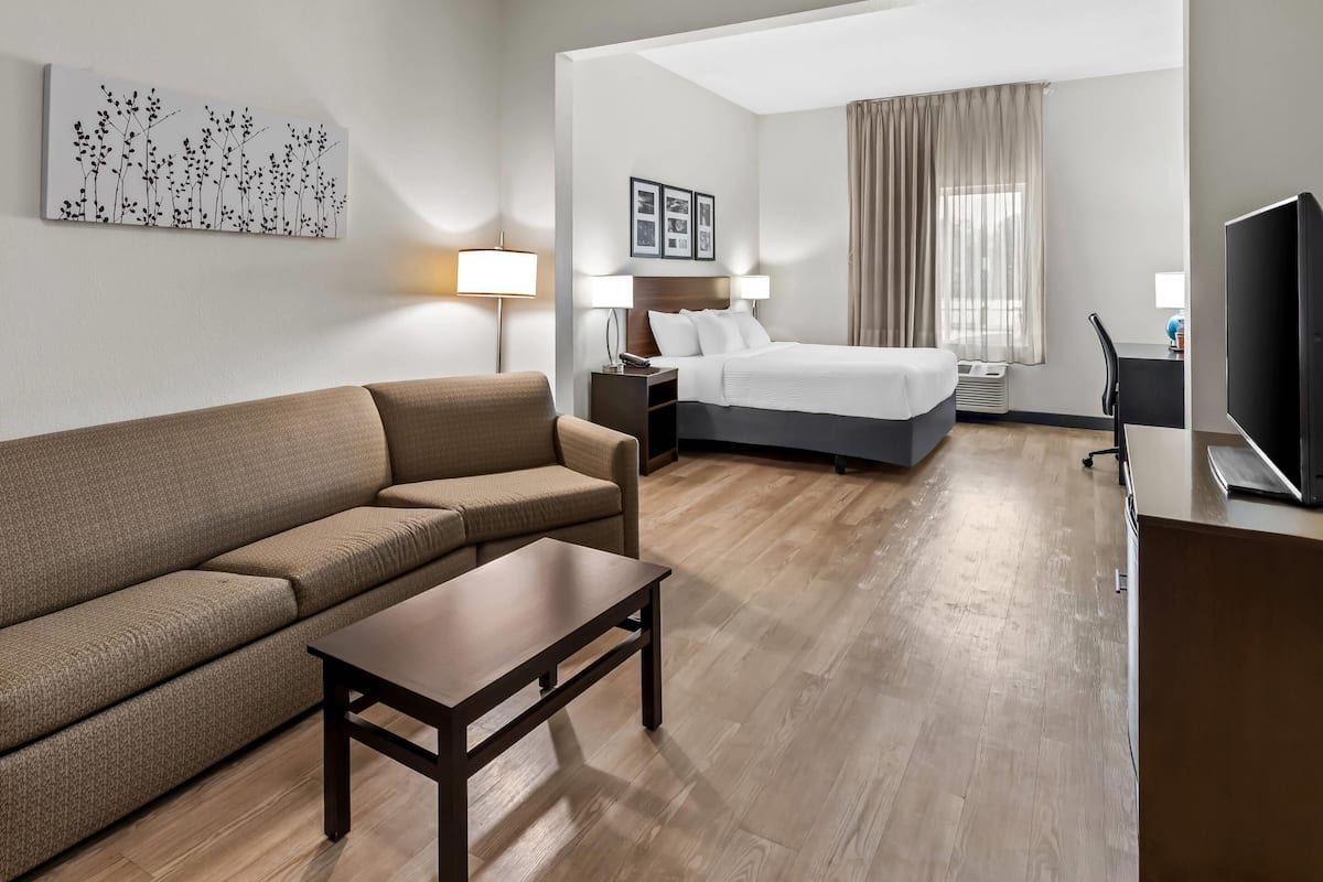 Habitación de hotel con sofá, cama, escritorio, televisor y un cuadro en la pared.