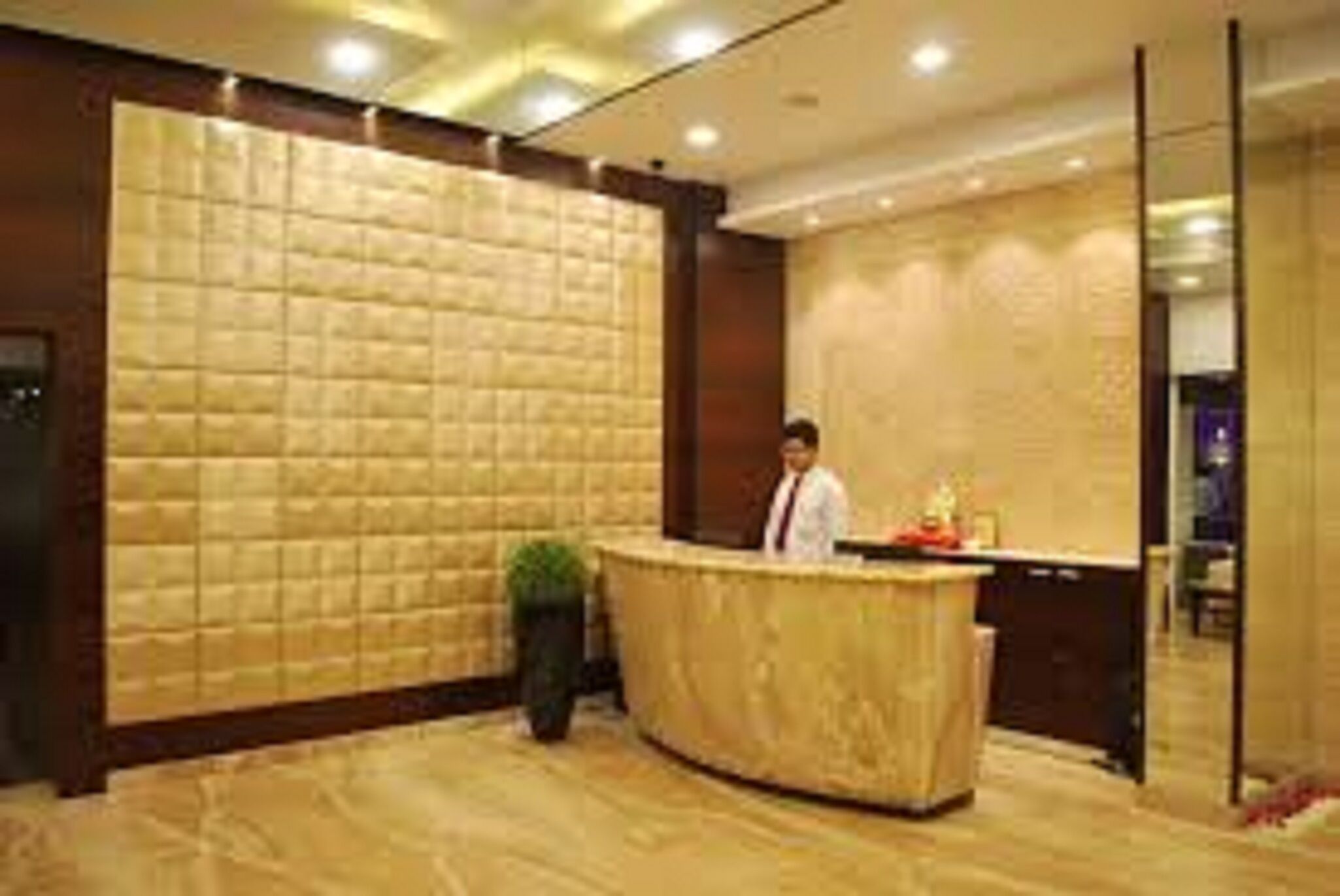 A reception area with a wooden reception desk, a large cushioned wall, and a potted plant.