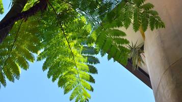 A view of a building with a large tree in the foreground and a clear blue sky in the background.