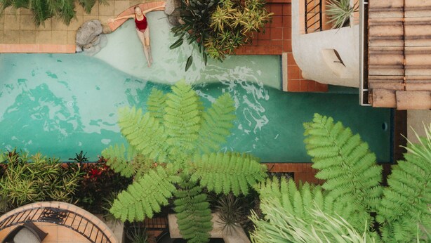A rooftop pool area with a person relaxing, surrounded by various plants and a brick wall. - Villa San Michele (Port Douglas)