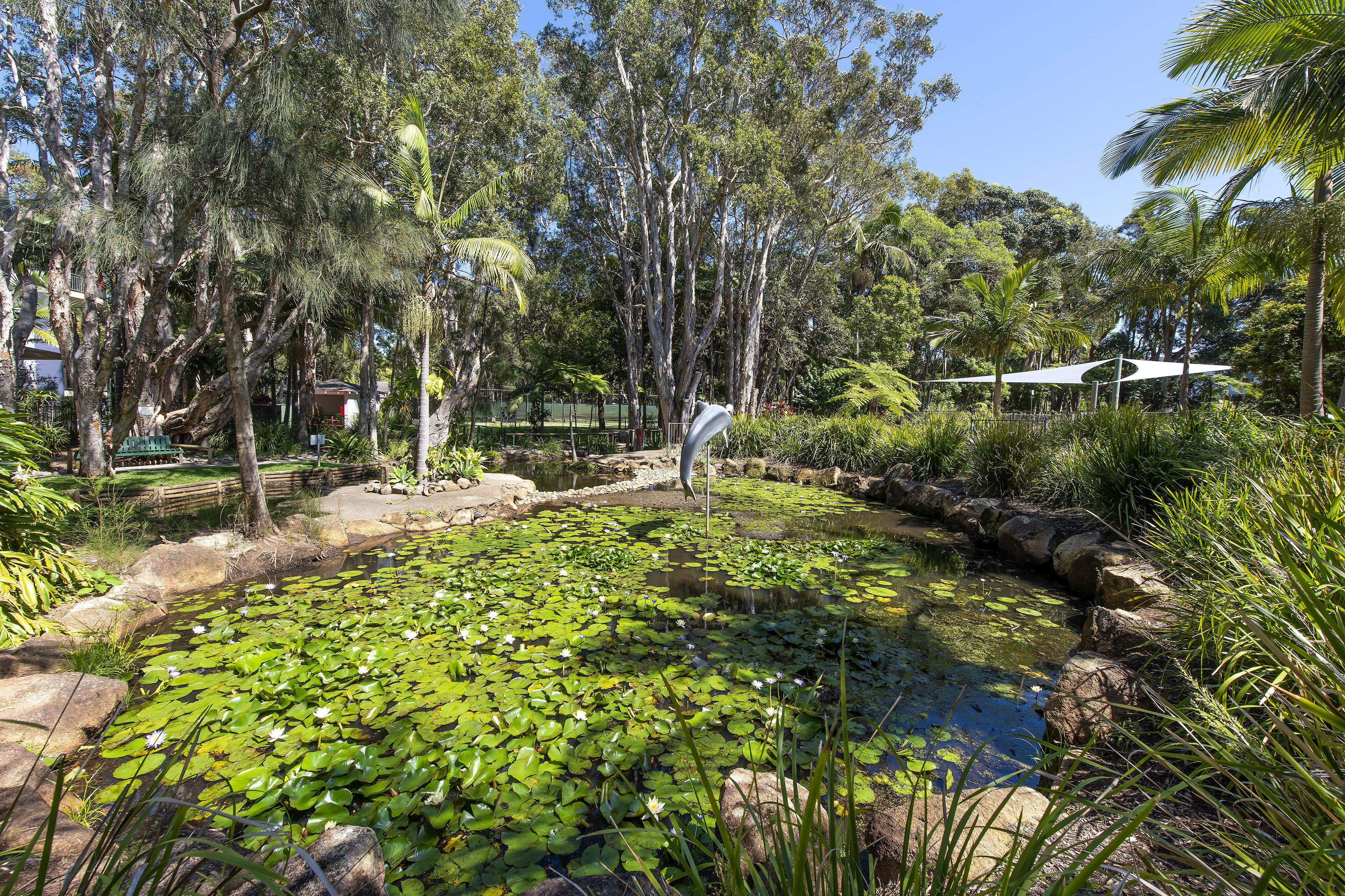 A pond with lily pads surrounded by trees and rocks.