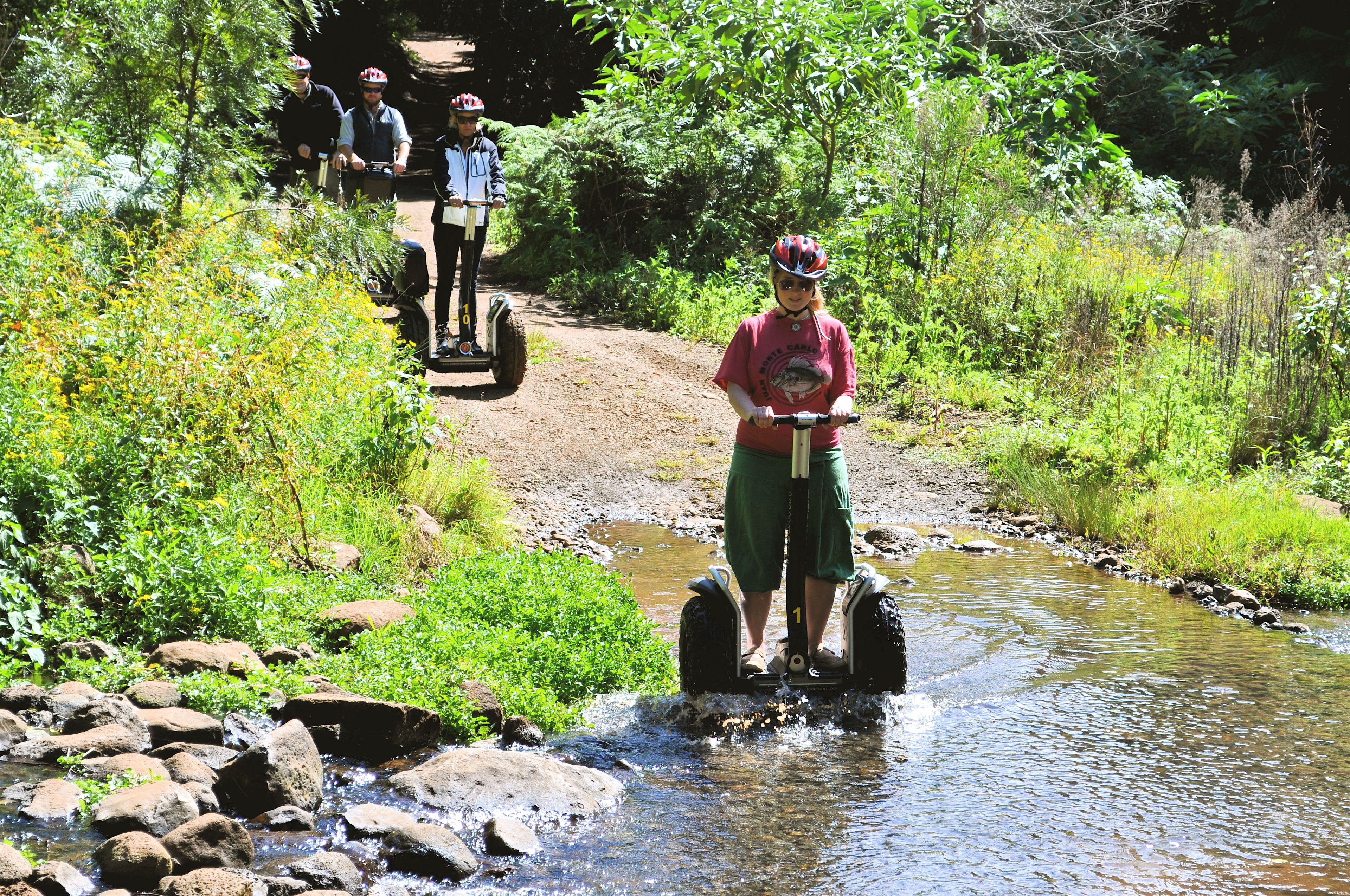 Foto - O'Reilly's Rainforest Retreat