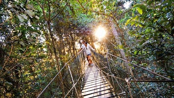 A suspension bridge in a forested area with dense foliage on both sides.
