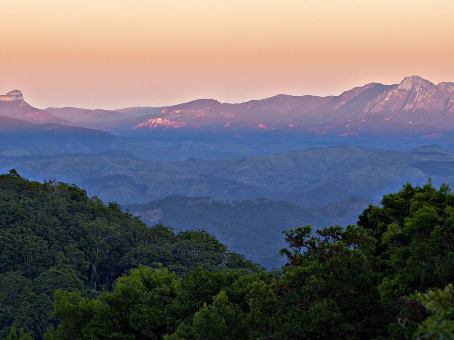 A mountainous landscape with dense forested areas and a prominent peak in the background.