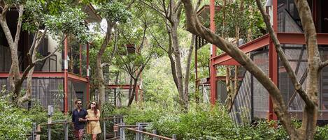 A wooden bridge connecting two buildings surrounded by dense greenery.