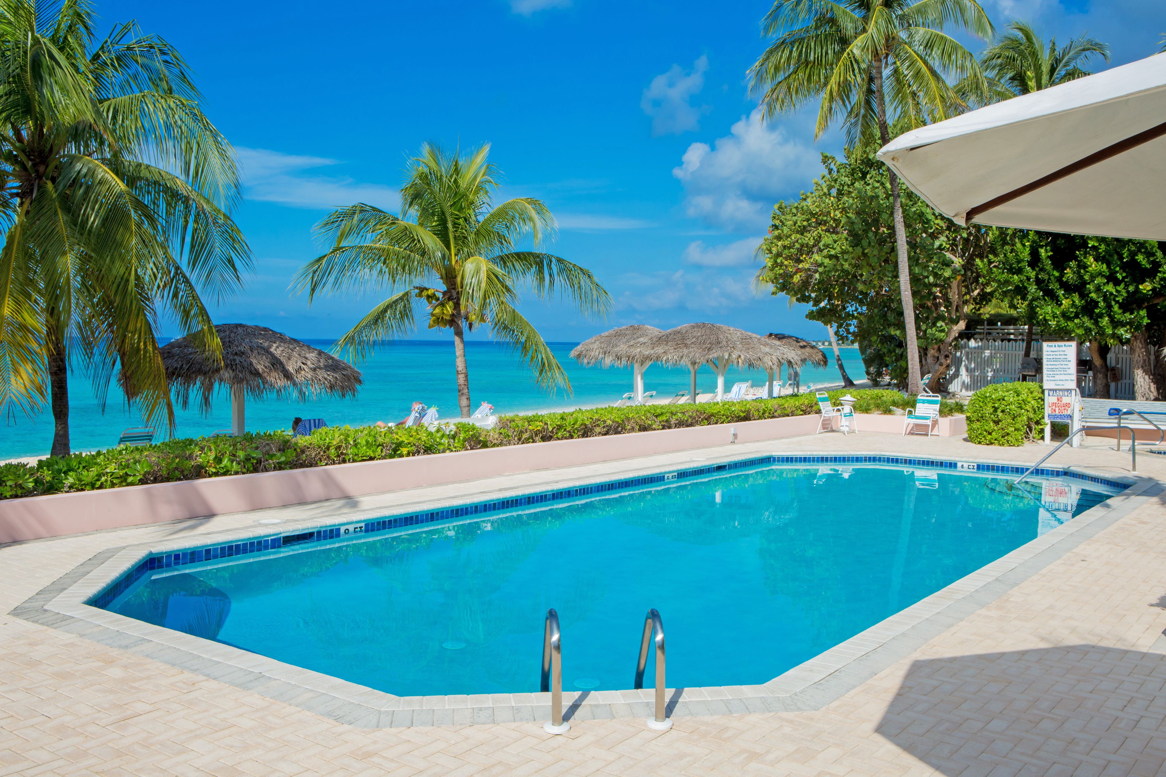 Outdoor pool, pool umbrellas, sun loungers
