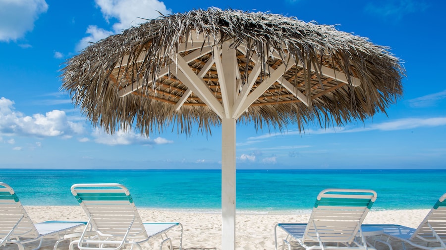 Aqua Bay Club Condos