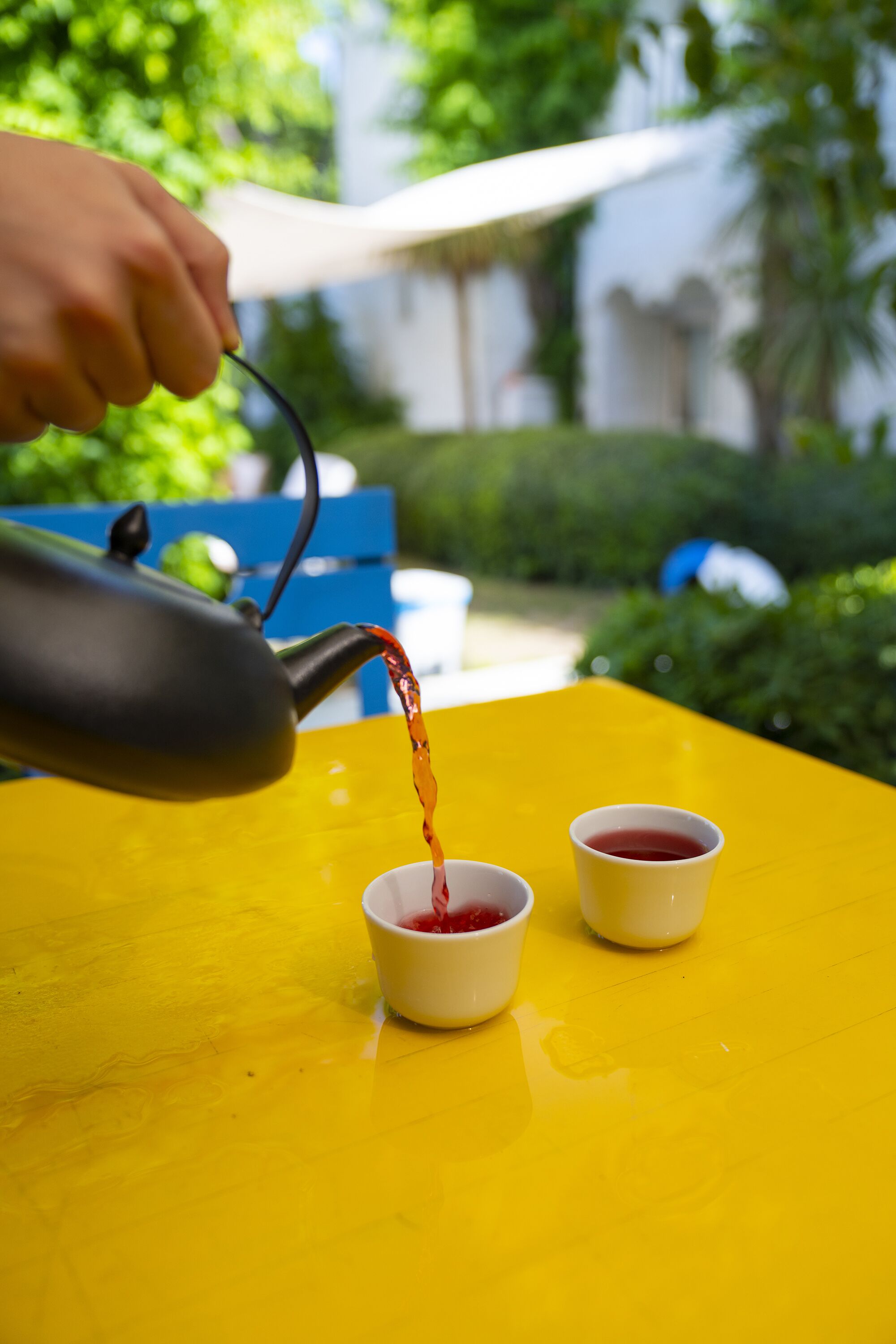 dinner served, seafood, beach views