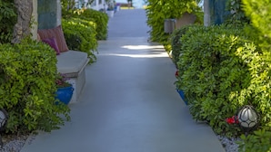 Jardim