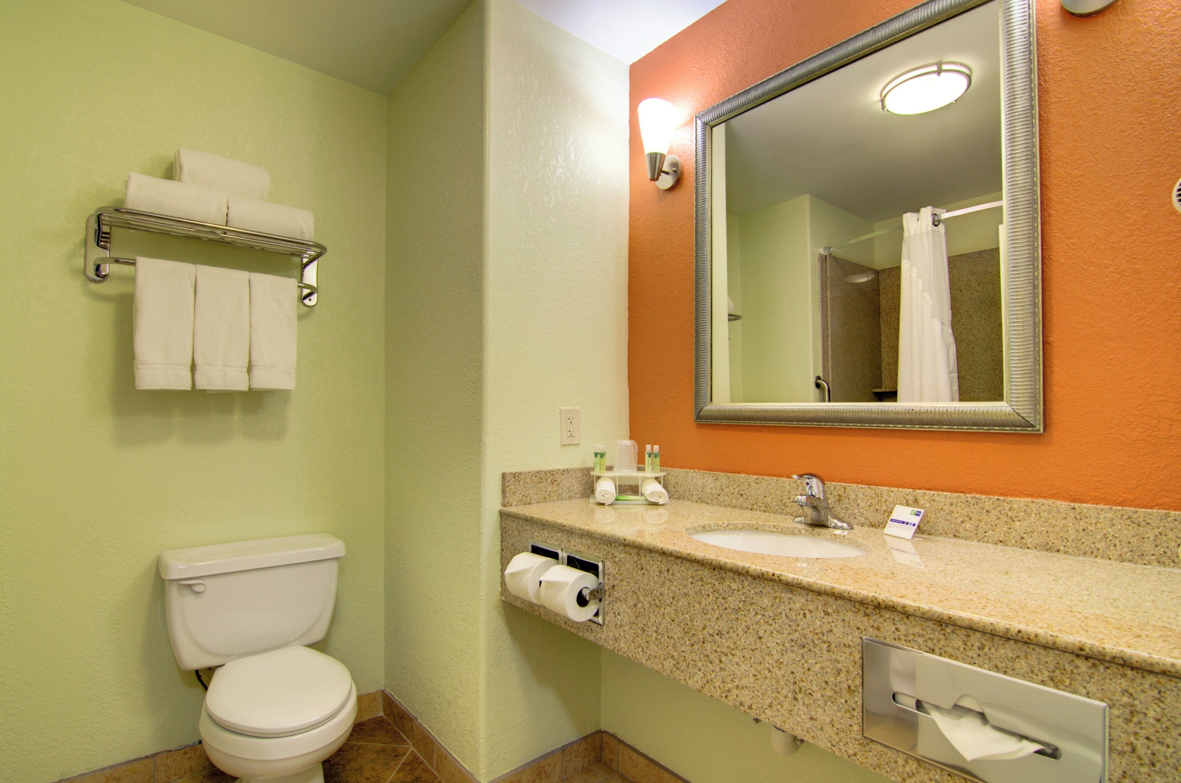 A bathroom with a toilet, sink, mirror, and towel rack.