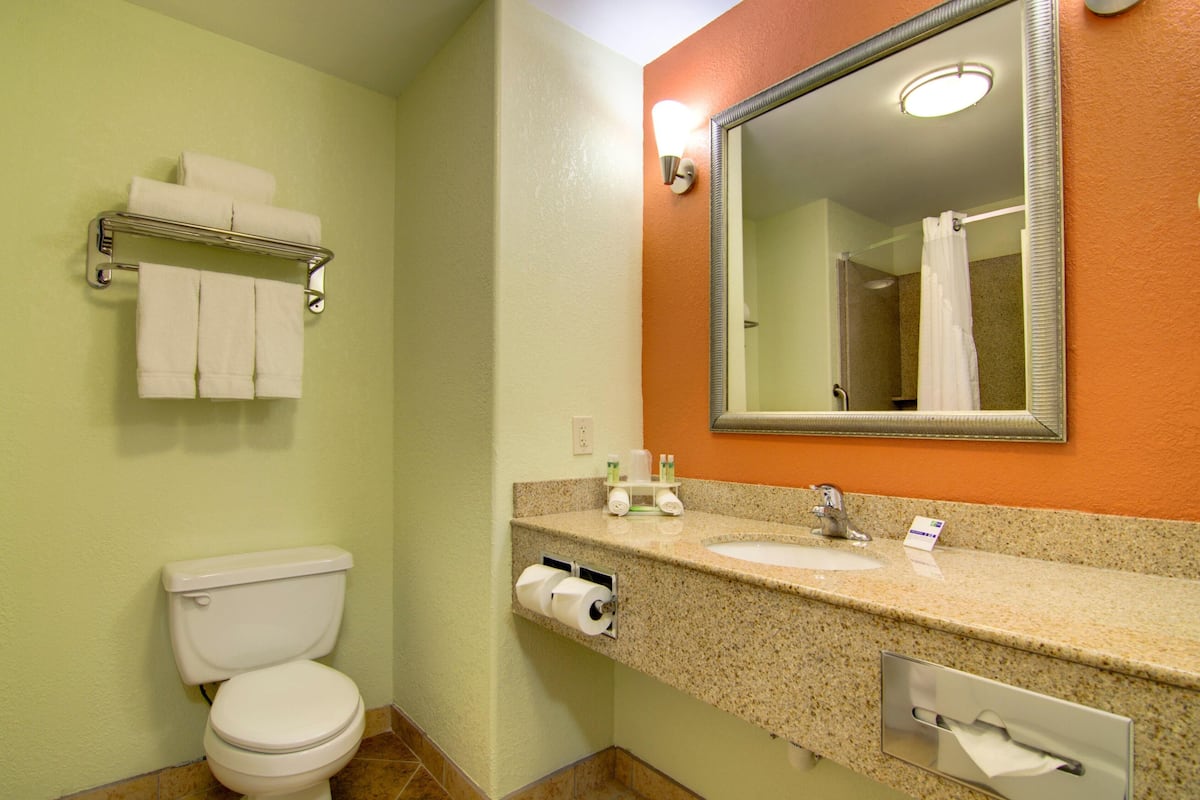 Bathroom | Combined shower/bathtub, free toiletries, hair dryer, towels