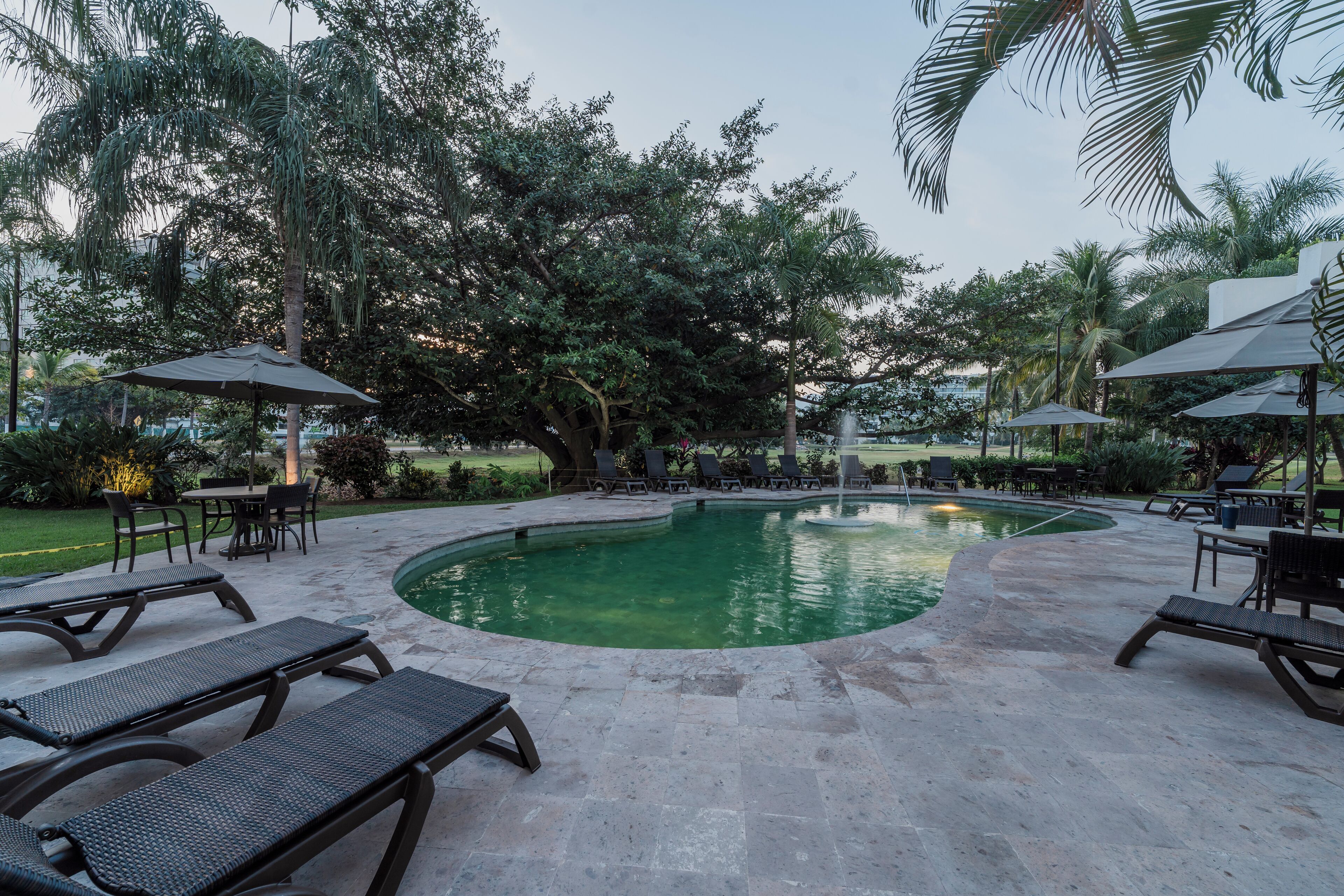 A pool area with lounge chairs and umbrellas, surrounded by trees and greenery.