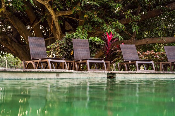 Outdoor pool, pool loungers