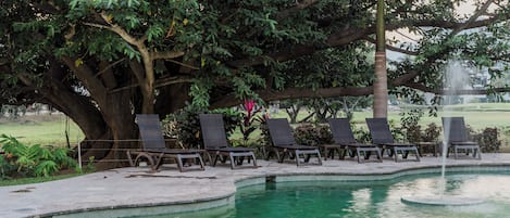 Una piscina al aire libre, sillones reclinables de piscina