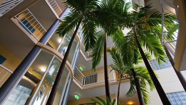 Courtyard - Inn Cairns Boutique Apartments (Cairns)